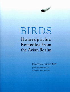 Jonathan Shore: Birds