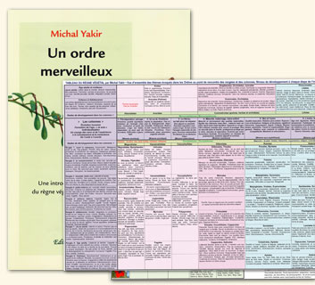 Michal Yakir: Tableau du règne végétal et son fascicule explicatif