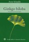 Ginkgo biloba