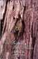 An Insight into Plants Volume 3 / Rajan Sankaran