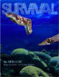 Survival - The Mollusc / Rajan Sankaran