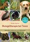 Blutegeltherapie bei Tieren / Anke Henne