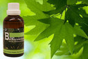 Baum Essenz - 1. Ahorn - Kraft der Fülle - 50 ml / Harald Knauss