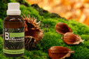Baum Essenz - 5. Buche - Kraft der Mehrung - 50 ml / Harald Knauss