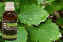 Baum Essenz - 9. Erle - Kraft der Imagination  - 50 ml / Harald Knauss
