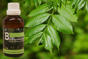 Baum Essenz - 10. Esche - Kraft derzielgerichteten Orientierung  - 50 ml / Harald Knauss