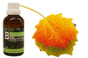 Baum Essenz - 11. Espe - Kraft des Selbstausdrucks  - 50 ml / Harald Knauss