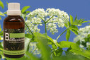 Baum Essenz - 16. Holunder - Kraft der Seele  - 50 ml / Harald Knauss