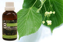 Baum Essenz - 18. Linde - Kraft des Heilseins  - 50 ml / Harald Knauss