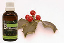 Baum Essenz - 19. Stechpalme - Kraft der Selbstbeherrschung  - 50 ml / Harald Knauss