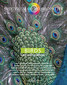 Spectrum of Homeopathy 2011-I, BIRDS / Narayana Verlag