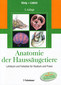Anatomie der Haussäugetiere / Horst E. König / Hans-Georg Liebich