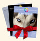 Spectrum of Homeopathy - Subscription 2012 / Narayana Verlag