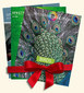 Set - Spectrum of Homeopathy - Set 2011 / Narayana Verlag