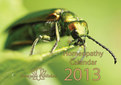 Homeopathy Calendar 2013 REDUCED PRICE /