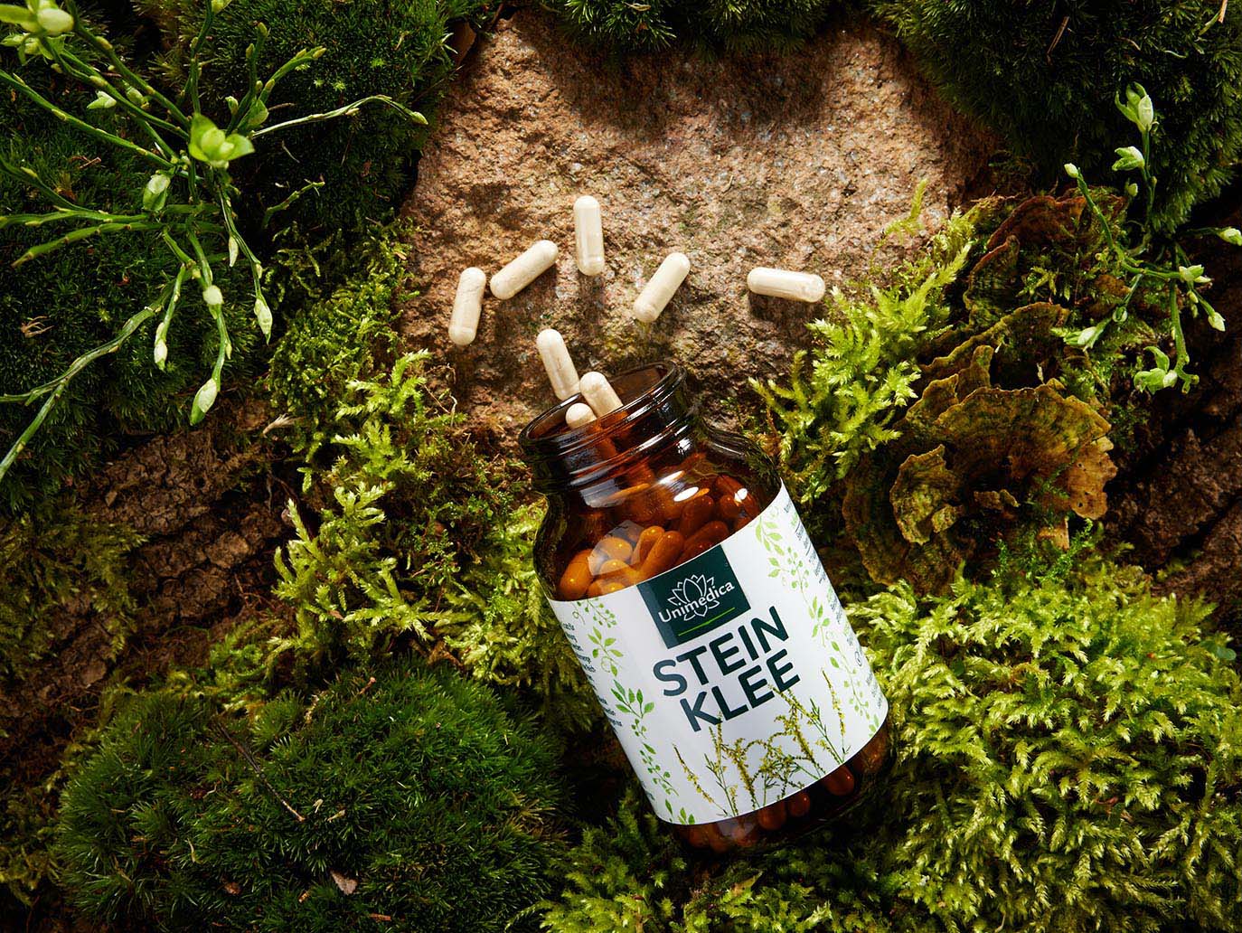 Extrait de mélilot - 30 mg (dose journalière, 1 gélule) - avec 18 % de coumarine - 180 gélules - de Unimedica