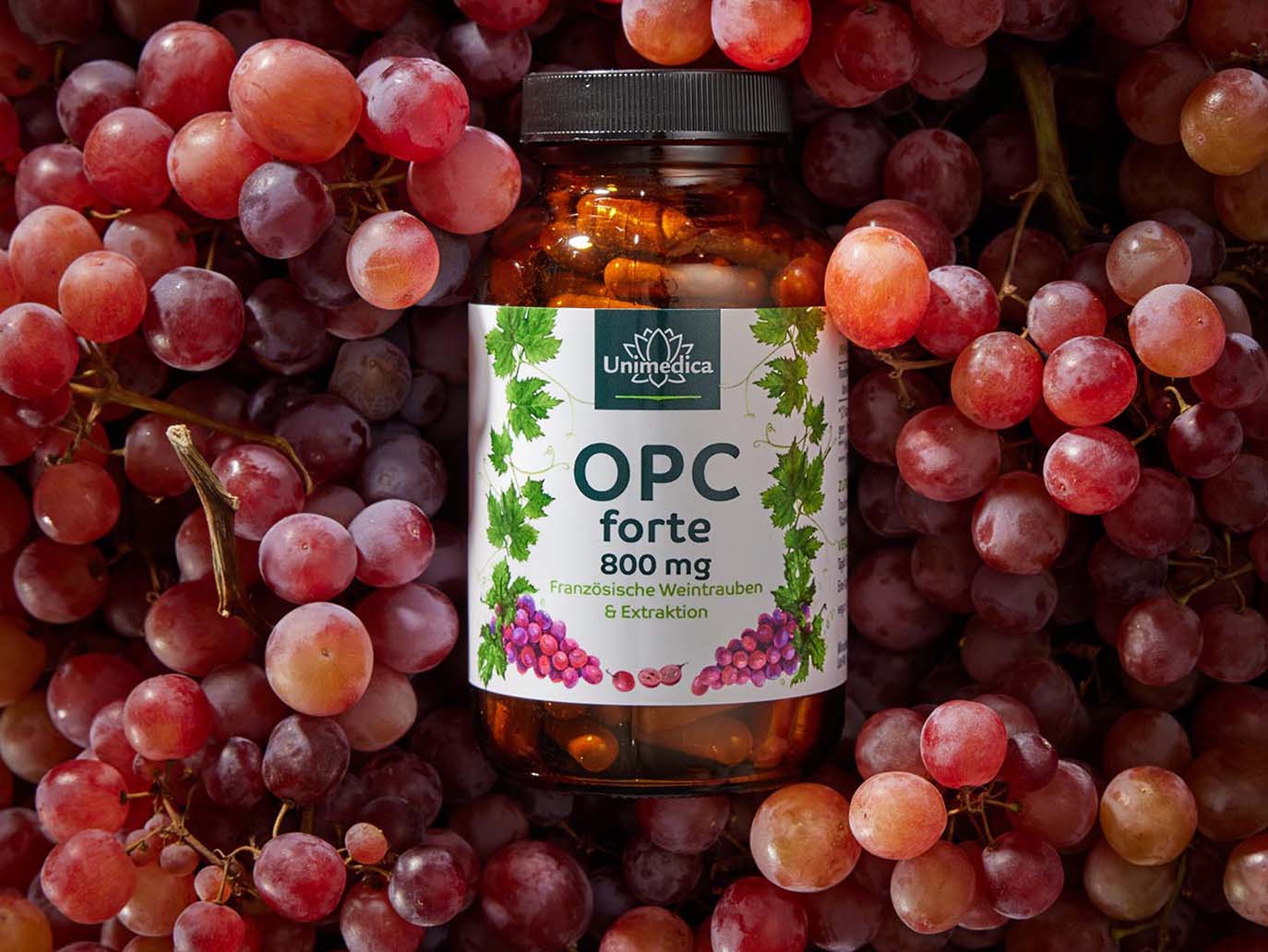 OPC forte - 800 mg d'extrait de pépins de raisin par dose journalière (2 gélules) - 180 gélules - obtenu par extraction aqueuse - par Unimedica